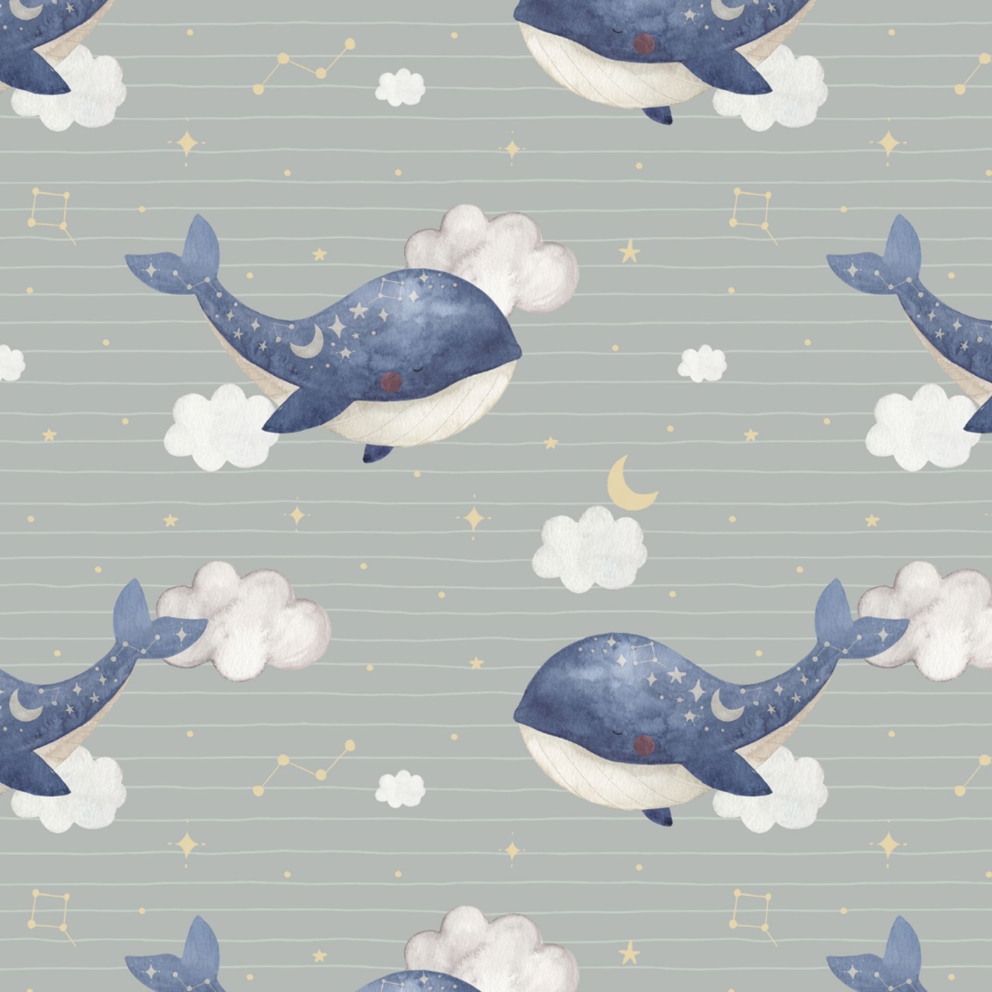 Jersey (Bio) Sternenwal - Eigenproduktion